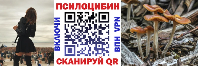 OMG как войти  где найти   Усть-Катав  Галлюциногенные грибы GOLDEN TEACHER 